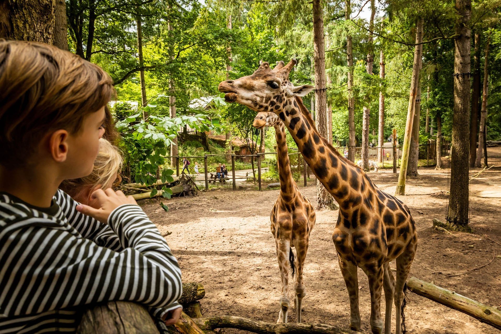 DierenPark Amersfoort