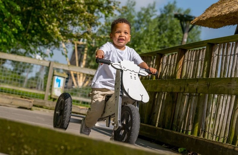 Avonturen-arrangement