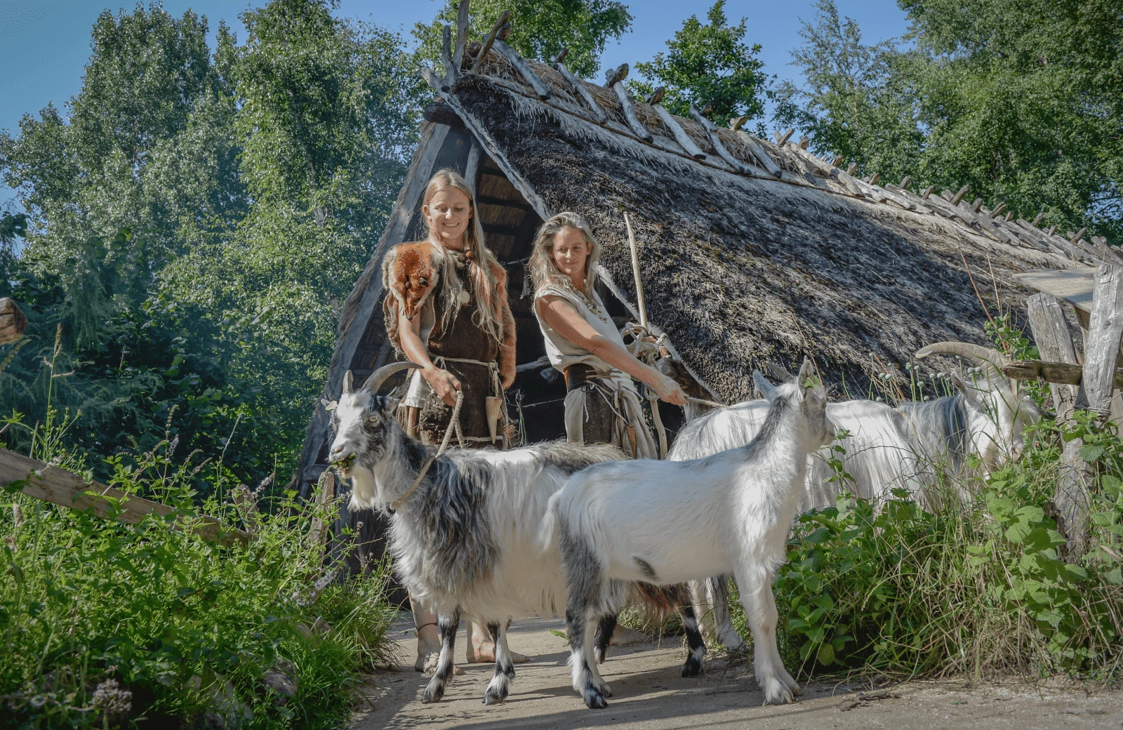 Archeonprehistorie 5