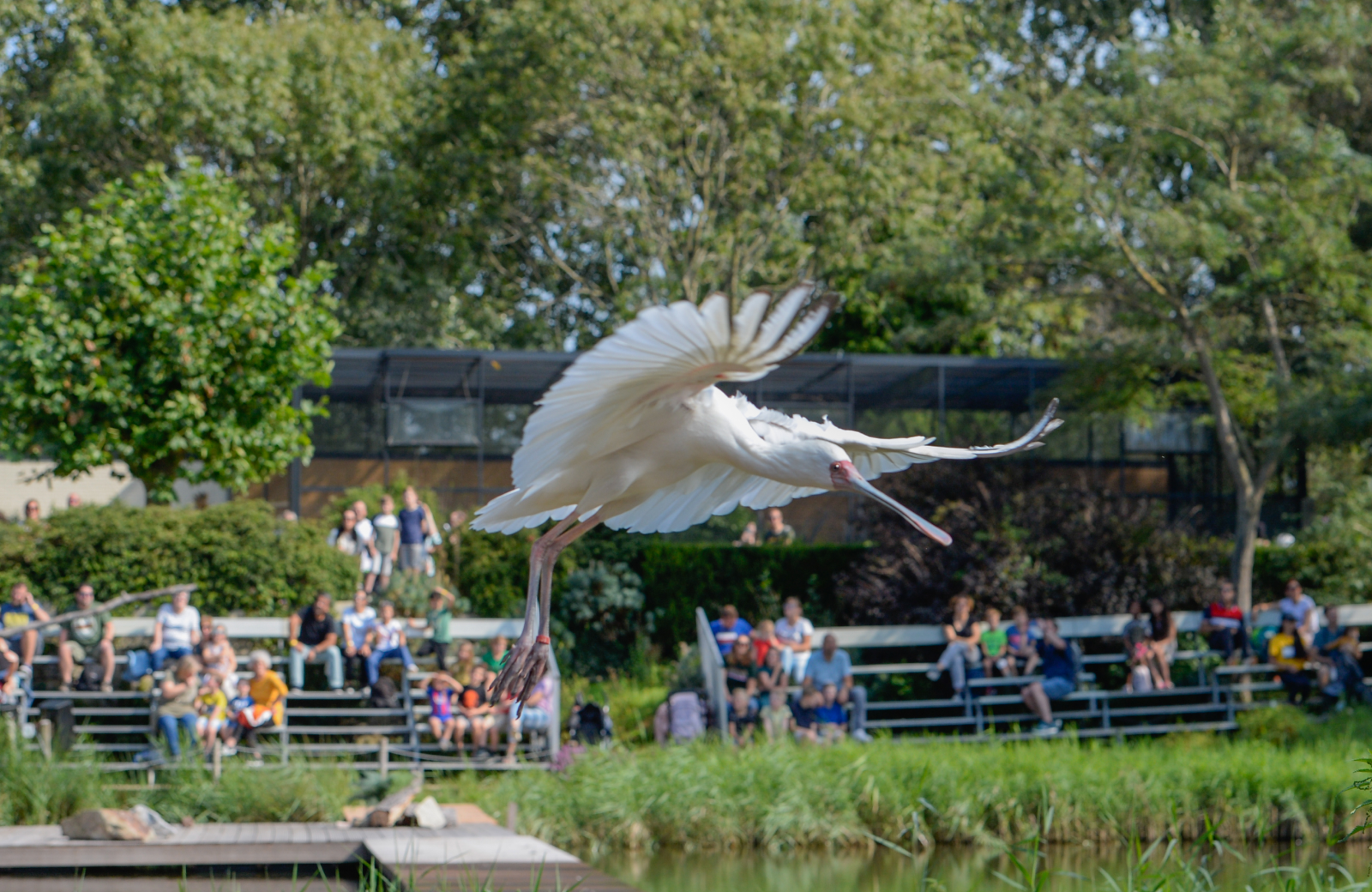 Avifauna promobeeld 2023
