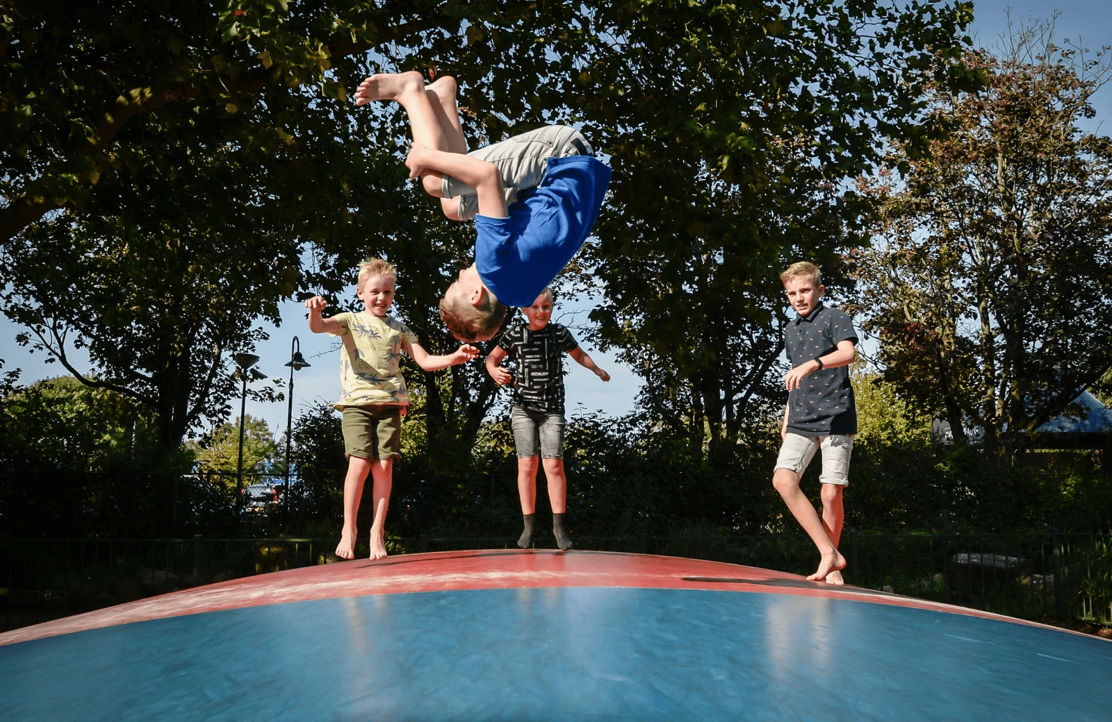 Avifauna promobeeld 3 2023