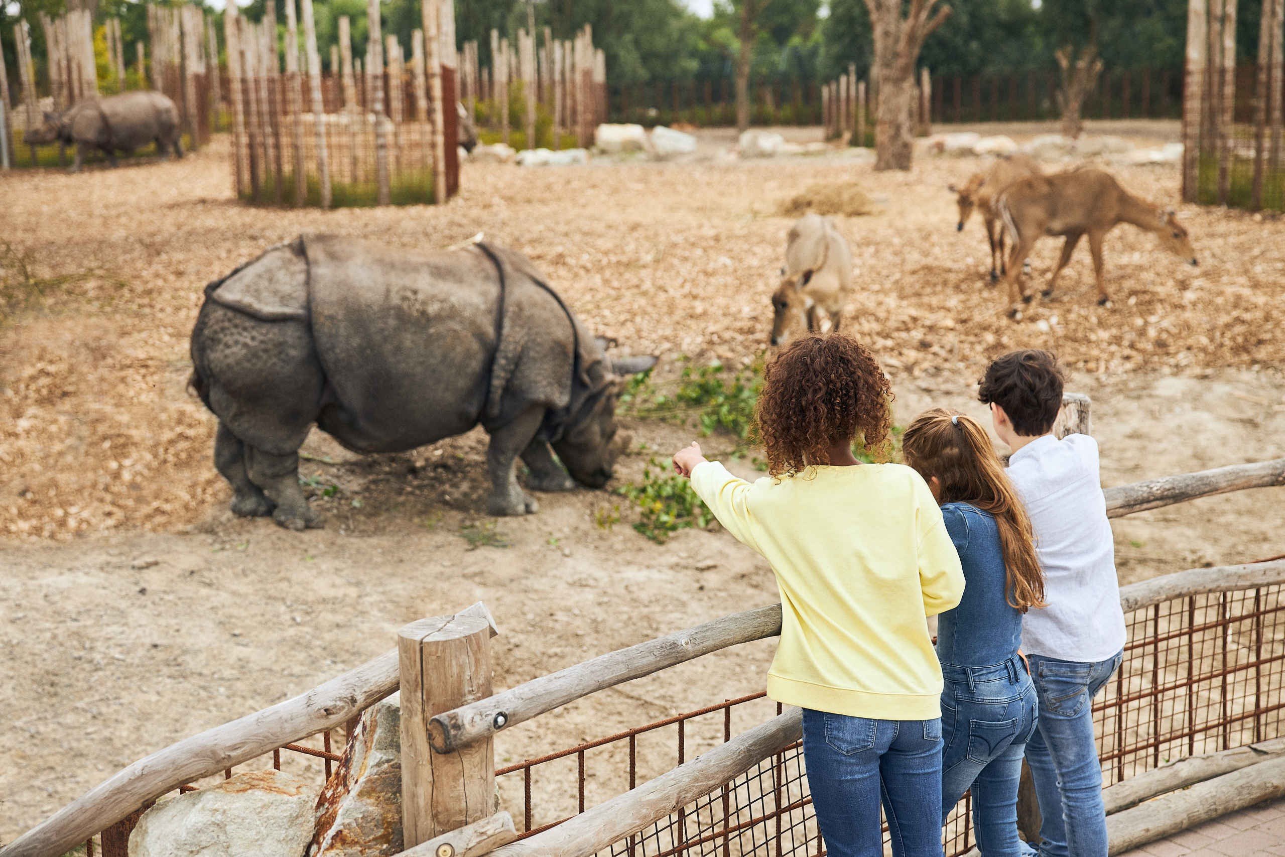 Eindhoven zoo neushoorn en hertjes