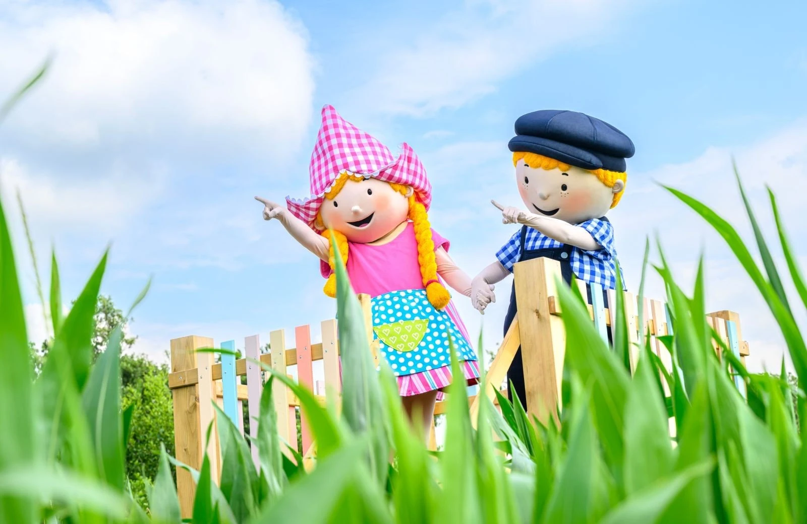 Ft maisdoolhof webformaat