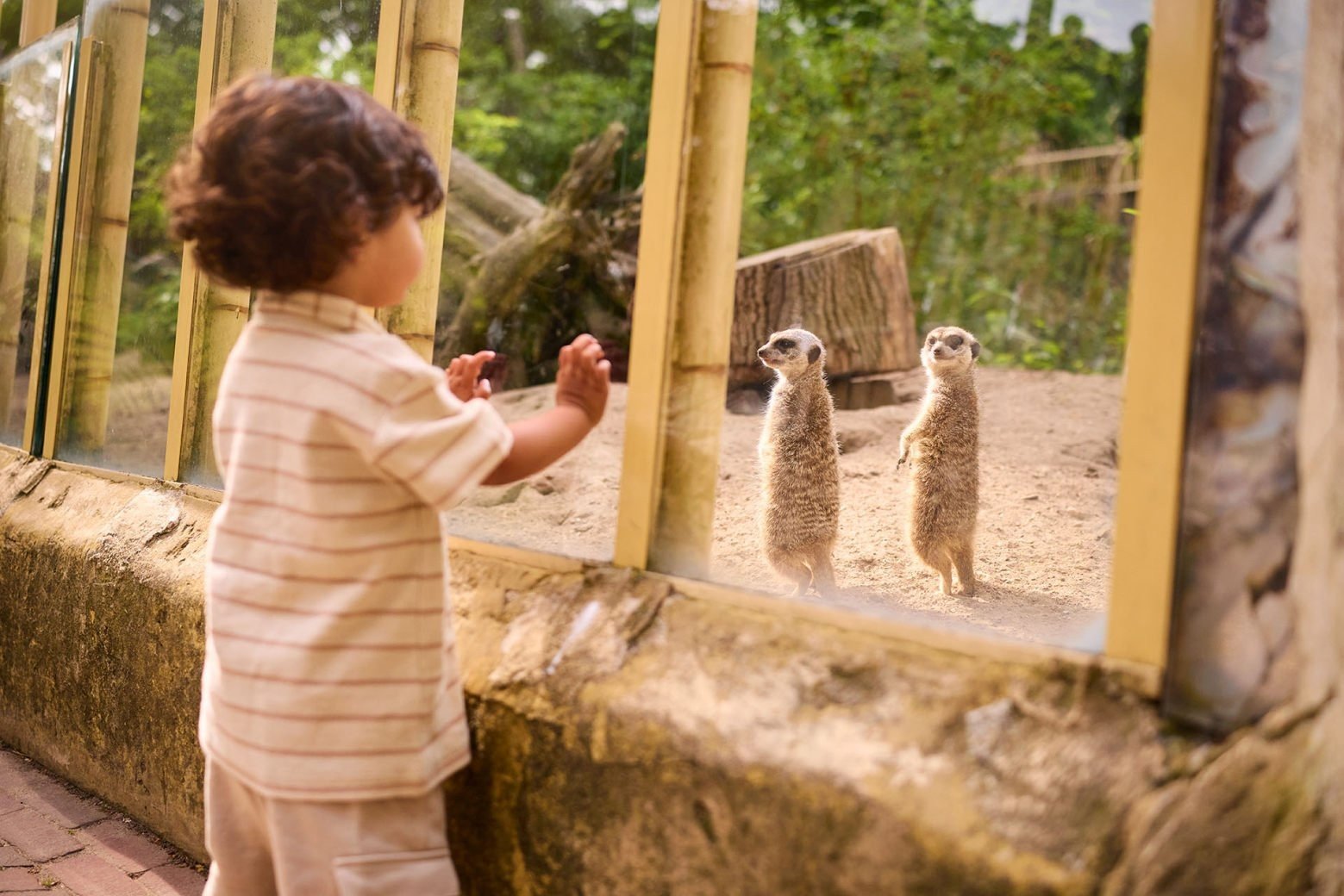 Ouwehandsdierenpark z5a7010