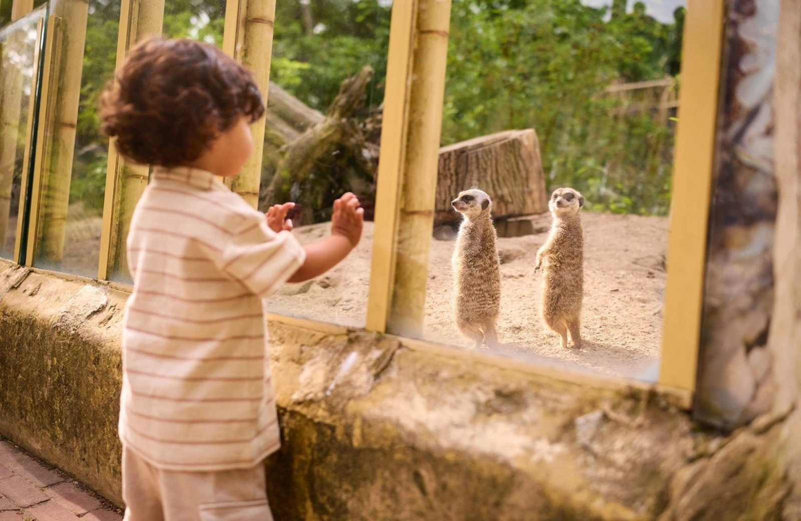 Ouwehandsdierenpark z5a7010