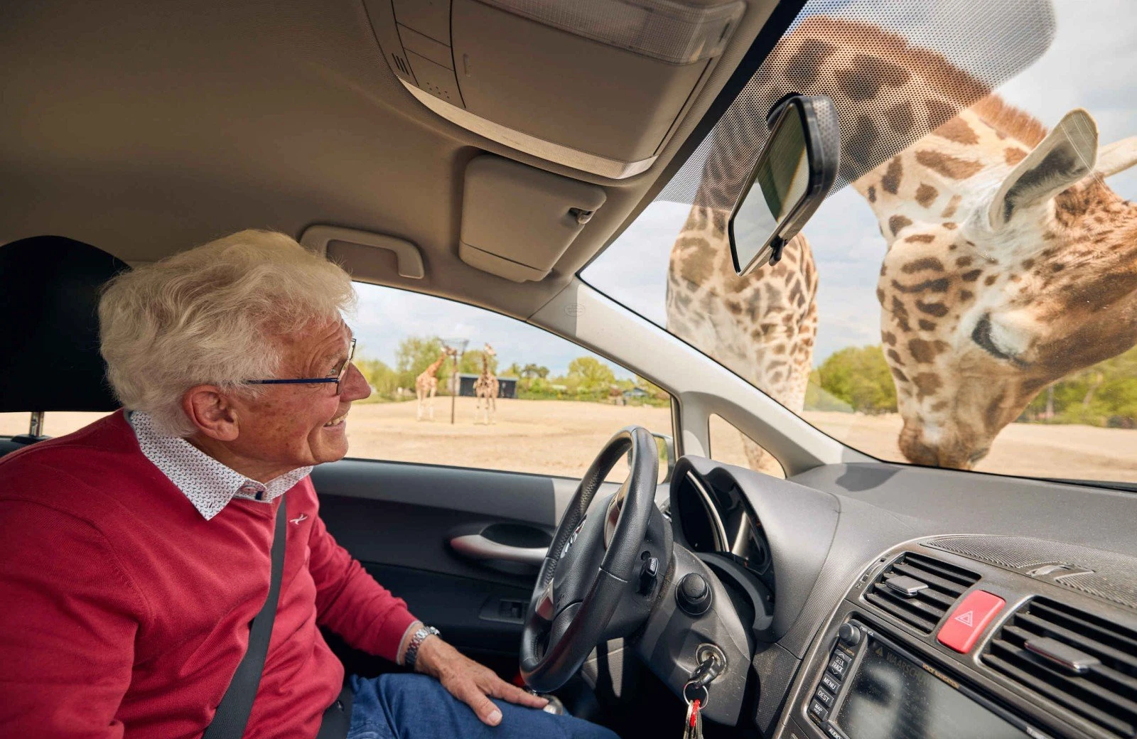 Safaripark autosafari