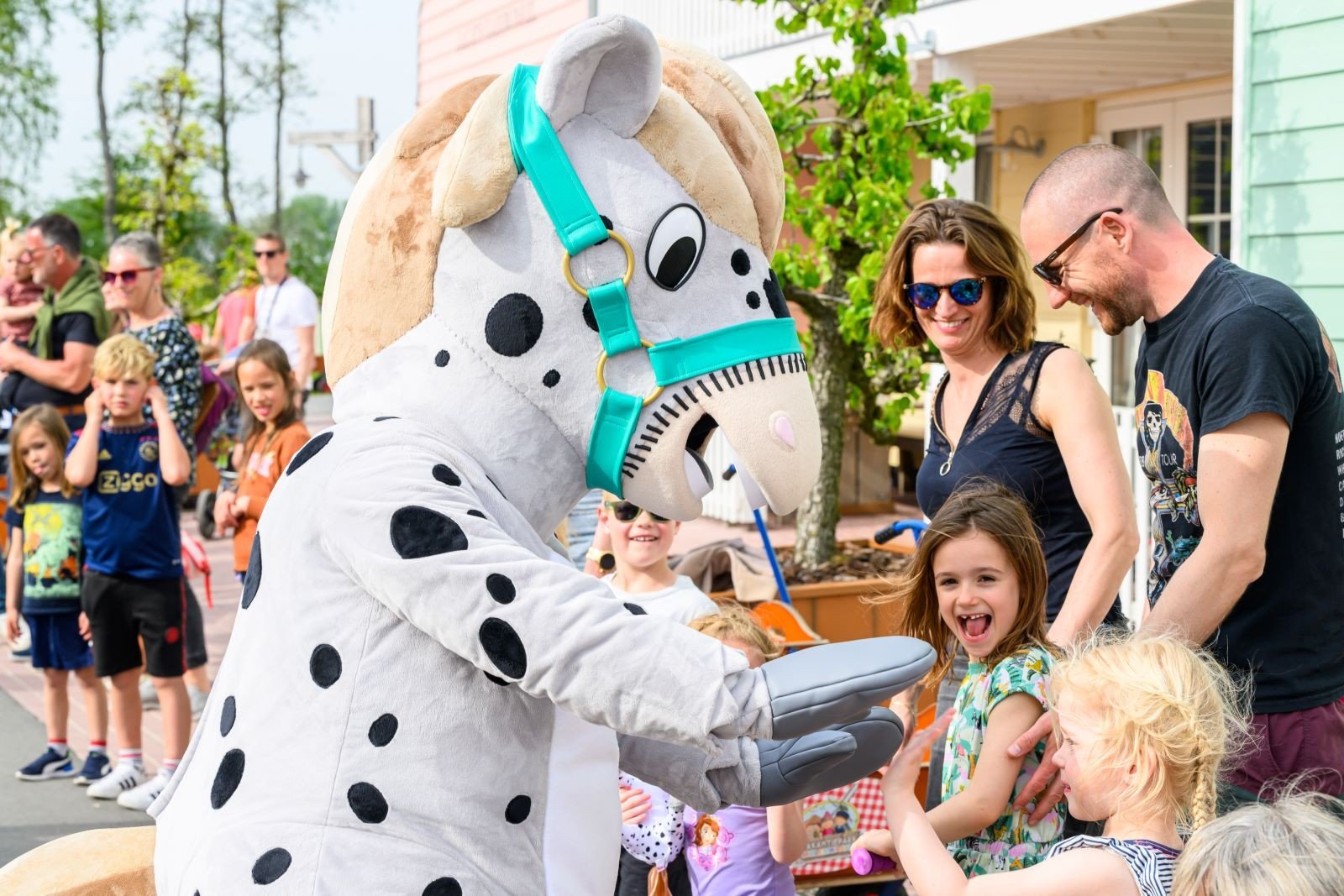 Familie Resort Molenwaard