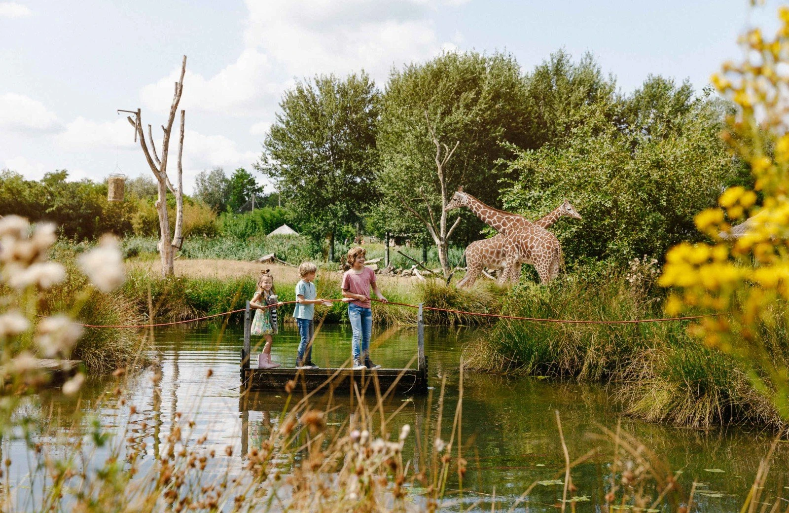 Zooparc overloon vlonder